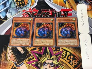 Ultimate Insect LV1 5 Rare Set of 3 Tera.