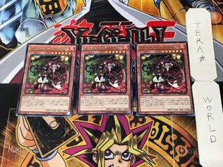 Aromage-Bianca Gamut 2 Rare, set of 3 Tera.