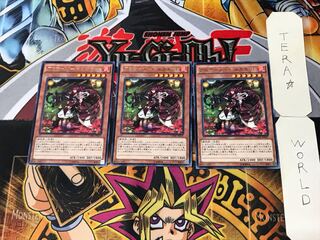 Aromage-Bianca Gamut 4 Rare, set of 3 Tera.