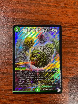 Life Life, Earth and Roaring Decision SR S12/S12