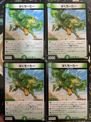 ぱくちーたー R C35