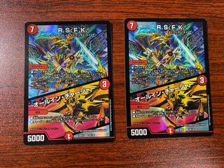 R.S.F.K.｜All-in Charger VR 30/130