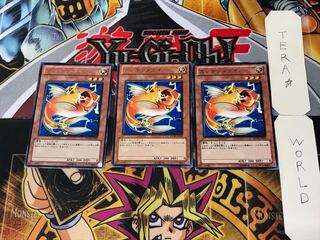 Wattberyx 5 rare, set of 3 Tera.