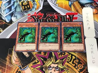 カゲトカゲ 3 レア 3枚セット てら