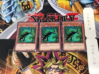 カゲトカゲ 4 レア 3枚セット てら