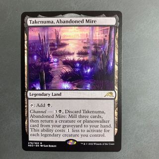 見捨てられたぬかるみ、竹沼/Takenuma, Abandoned Mire 英語