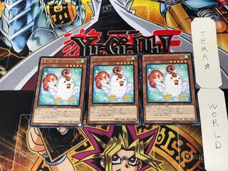 Cockadoodledoo 2 rare, set of 3 tera