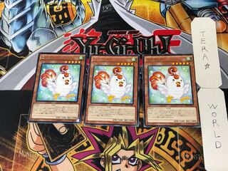 Cockadoodledoo 3 rare, set of 3 tera