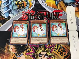 Cockadoodledoo 4 Rare, set of 3 Tera.