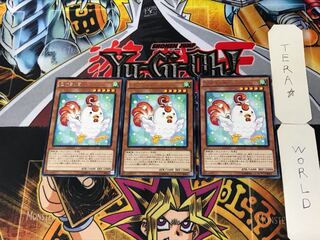 Cockadoodledoo 5 rare, set of 3 tera