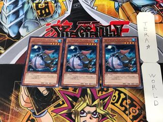 サイレント・アングラー 2 レア 3枚セット てら