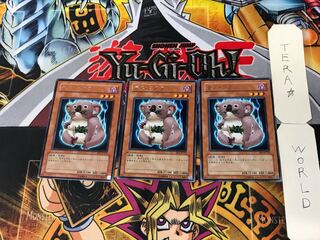 Des Koala 2 Rare Set of 3 Tera