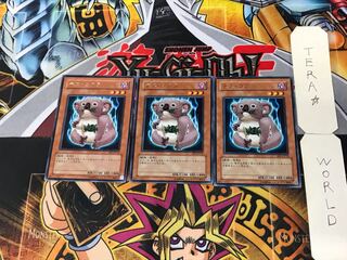 Des Koala 3 Rare Set of 3 Tera