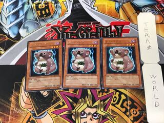 Des Koala 5 Rare Set of 3 Tera