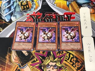Dread Dragon 3 rare, set of 3 Tera.