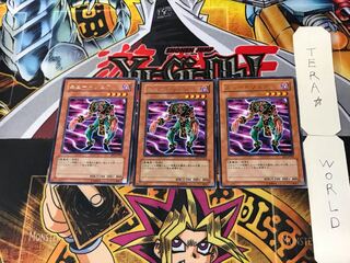 Newdoria 3 rare, set of 3 tera