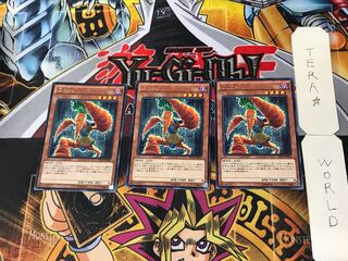 World Carrotweight Champion 1 Rare Set of 3 Tera