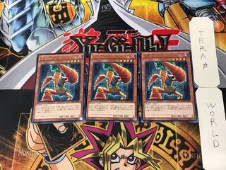 World Carrotweight Champion 2 Rare Set of 3 Tera