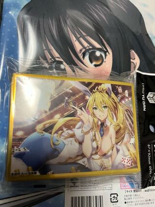 Fate FGO 獅子王　アルトリア　バニー　スリーブ