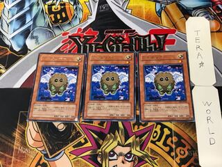 Winged Kuriboh 3 Rare Set of 3 Tera