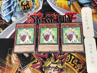 ファーニマル・ドッグ 1 レア 3枚セット てら