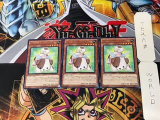 ファーニマル・ドッグ 4 レア 3枚セット てら