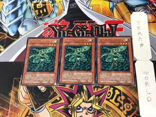 フォーチュンレディ・ウインディー 4 レア 3枚セット てら