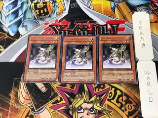 Magicat 2 Rare, set of 3 Tera.