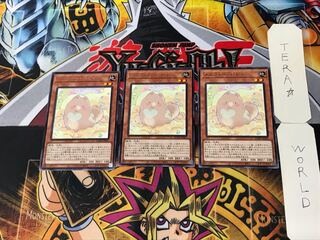 Melffy Puppy 5 Rare, set of 3 Tera