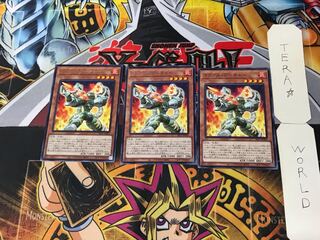 ラヴァル・アーチャー 3 レア 3枚セット てら