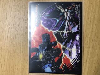 画像のスリーブ募集