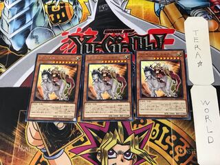 ワルキューレ・エルダ 2 レア 3枚セット てら