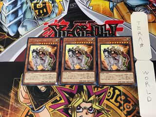 ワルキューレ・エルダ 4 レア 3枚セット てら