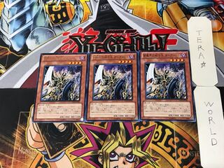闇魔界の戦士長 ダークソード 4 レア 3枚セット てら