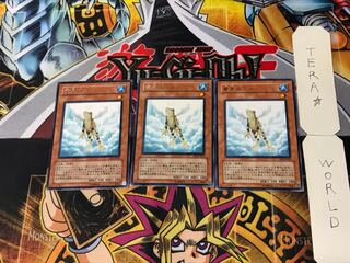 Treeborn Frog 2 Rare, set of 3 Tera.