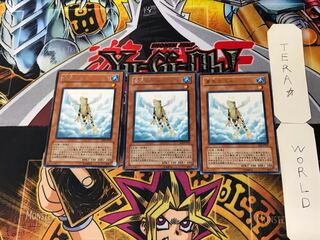 Treeborn Frog 3 rare, set of 3.