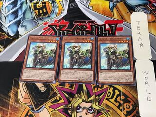 Umi Zouzou - White Bearded Engineer 3 Rare, Set of 3, Tera.