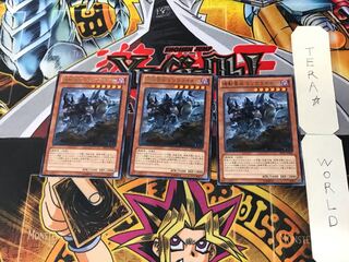 Kikobo Yosei Rhinoceros Triceriner 2 Rare, set of 3 Tera.