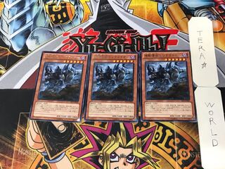 Kikobo Yosei Rhinoceros Triceriner 3 rare, set of 3, Tera.