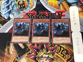 Kikobo Yosei Rhinoceros Triceriner 4 rare, set of 3, Tera.