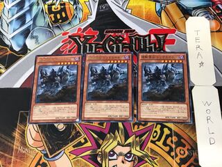 Kikobo Yosei Rhinoceros Triceriner 5 rare, set of 3, Tera.