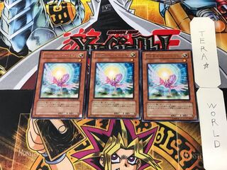 救世竜 セイヴァー・ドラゴン 1 レア 3枚セット てら