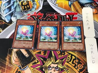 救世竜 セイヴァー・ドラゴン 2 レア 3枚セット てら