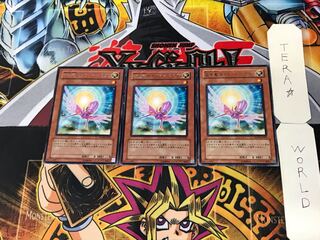 救世竜 セイヴァー・ドラゴン 3 レア 3枚セット てら