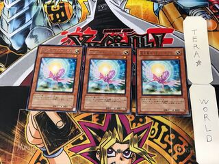 救世竜 セイヴァー・ドラゴン 4 レア 3枚セット てら