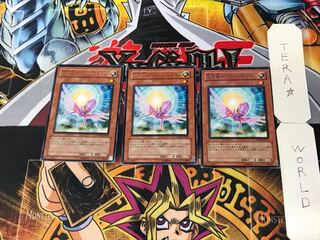 救世竜 セイヴァー・ドラゴン 5 レア 3枚セット てら