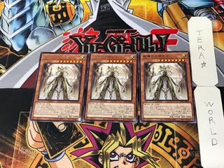 Dogmatika Maximus 2 rare, set of 3 tera