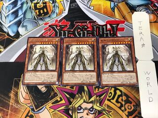 Dogmatika Maximus 5 rare, set of 3 tera