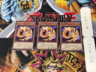 Lunalight Yellow Marten 4 rare, set of 3 Tera.