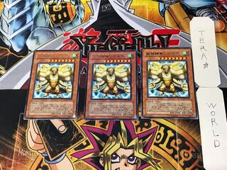 Simorgh, Bird of Ancestry 2 rare, set of 3 terra